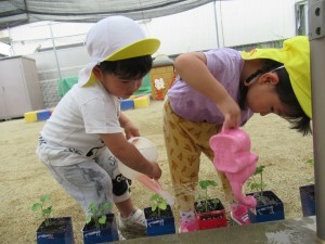 ２オクラ